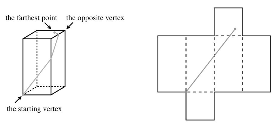 Figure F.1. Rectangular cuboid of size 1 × 1 × 2, and its net